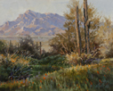 Desert Dusk Blush  8 x 10 Oil